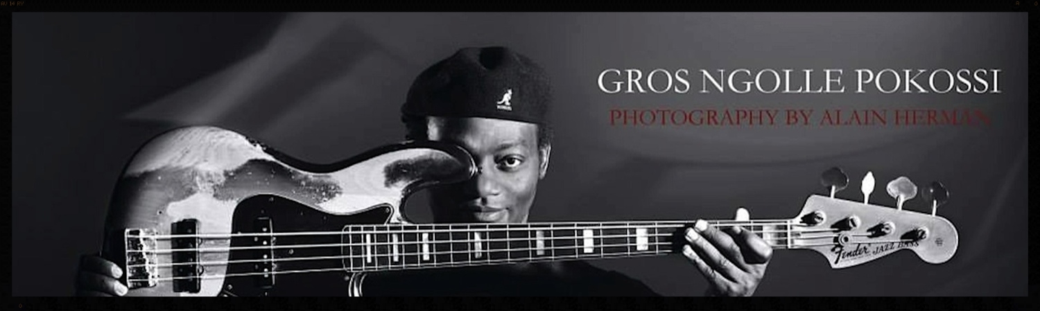 Gros Ngolle Pokossi Banner